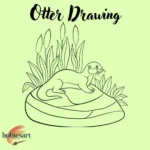 Otter Drawing