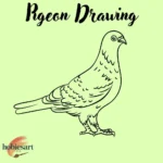 pigeon drawing