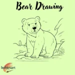polar Bear Drawing