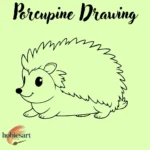 Porcupine Drawing