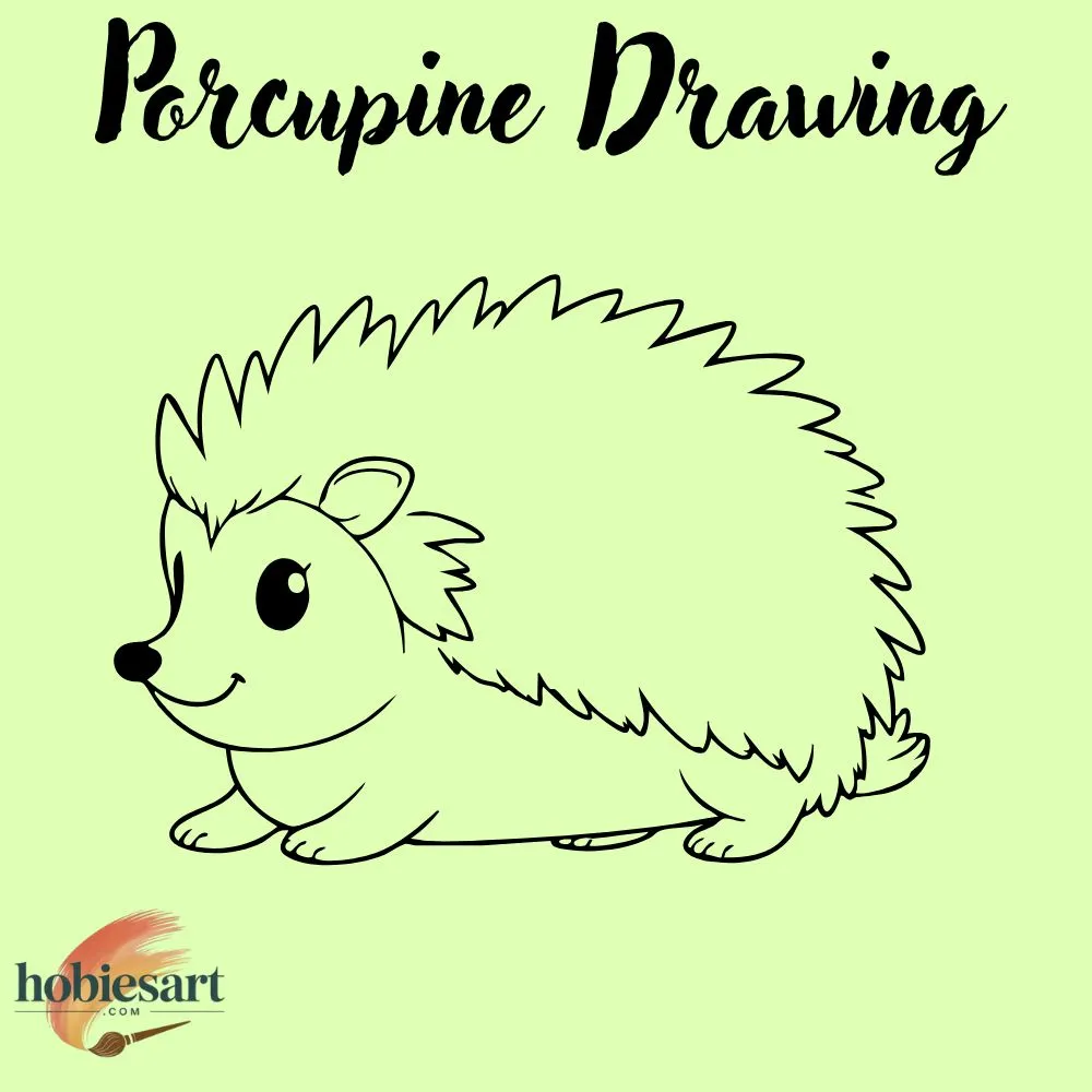 Porcupine Drawing