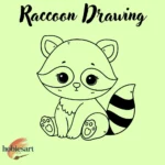 Raccoon Drawing