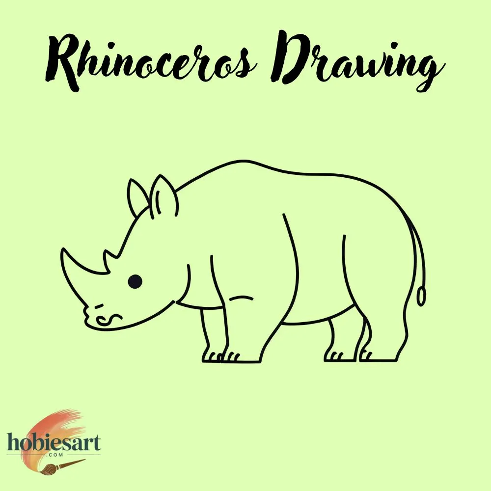 Rhinoceros Drawing