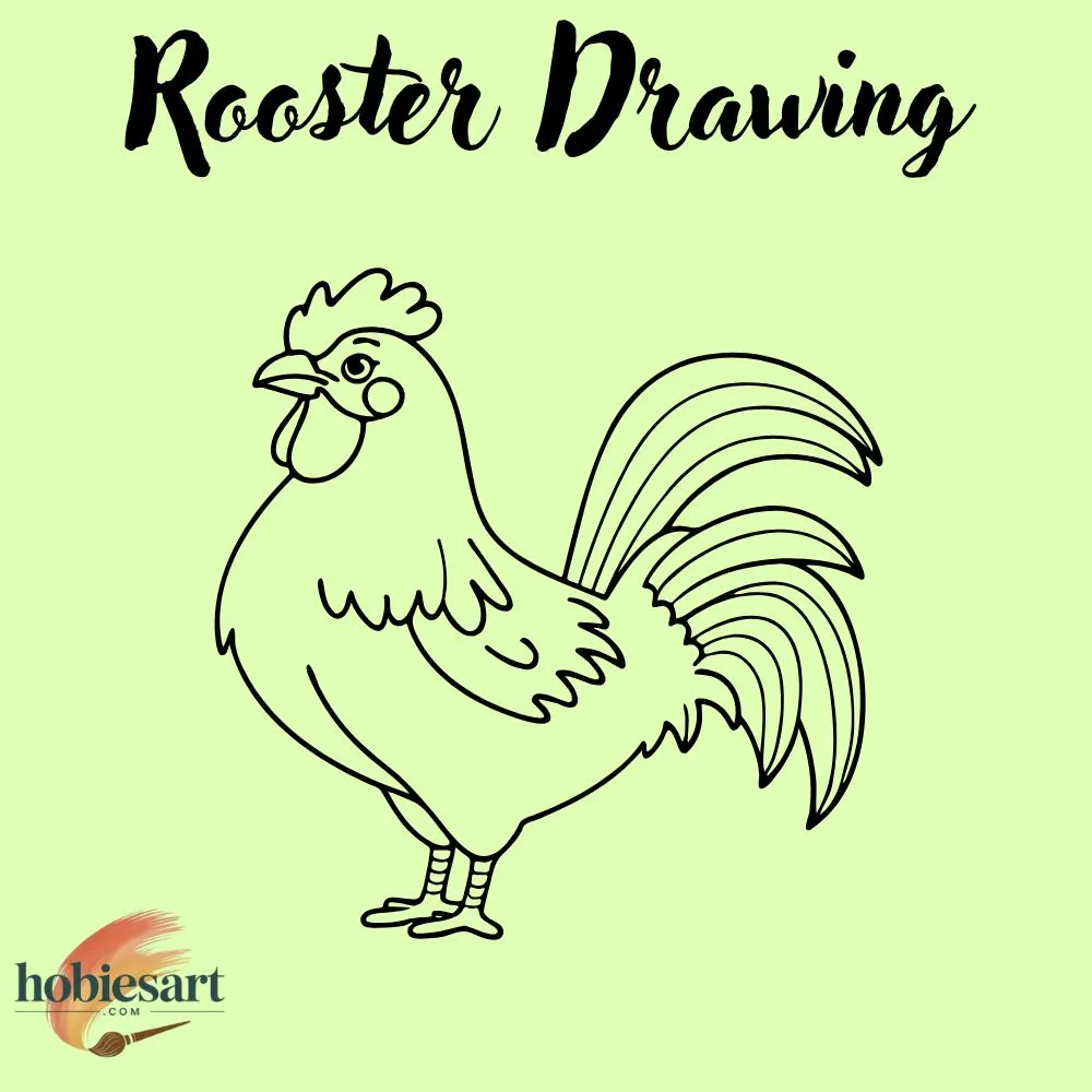 Rooster Drawing