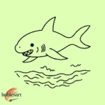 Shark Drawing