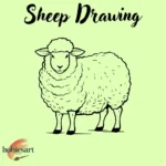 Sheep Drawing