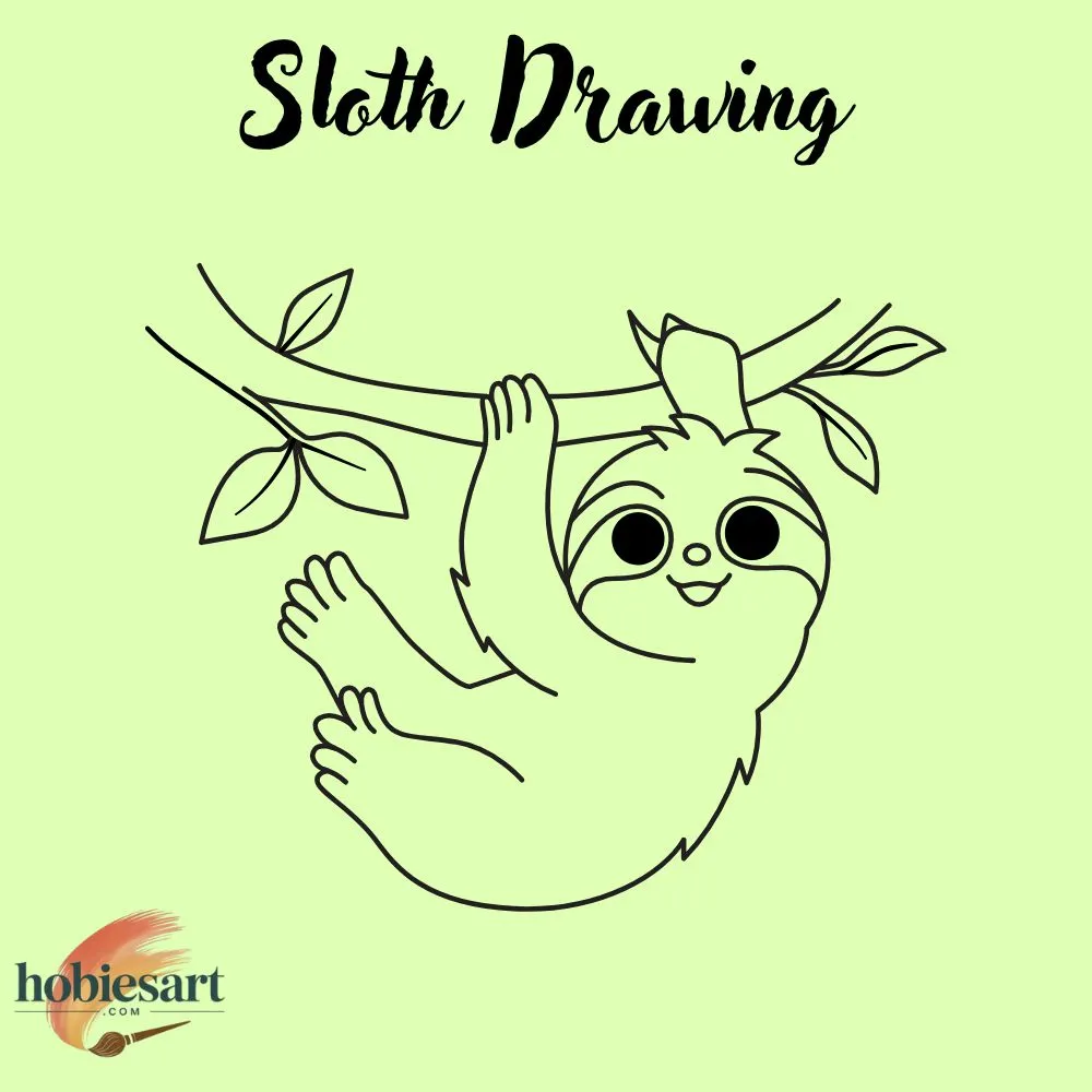 Sloth Drawing