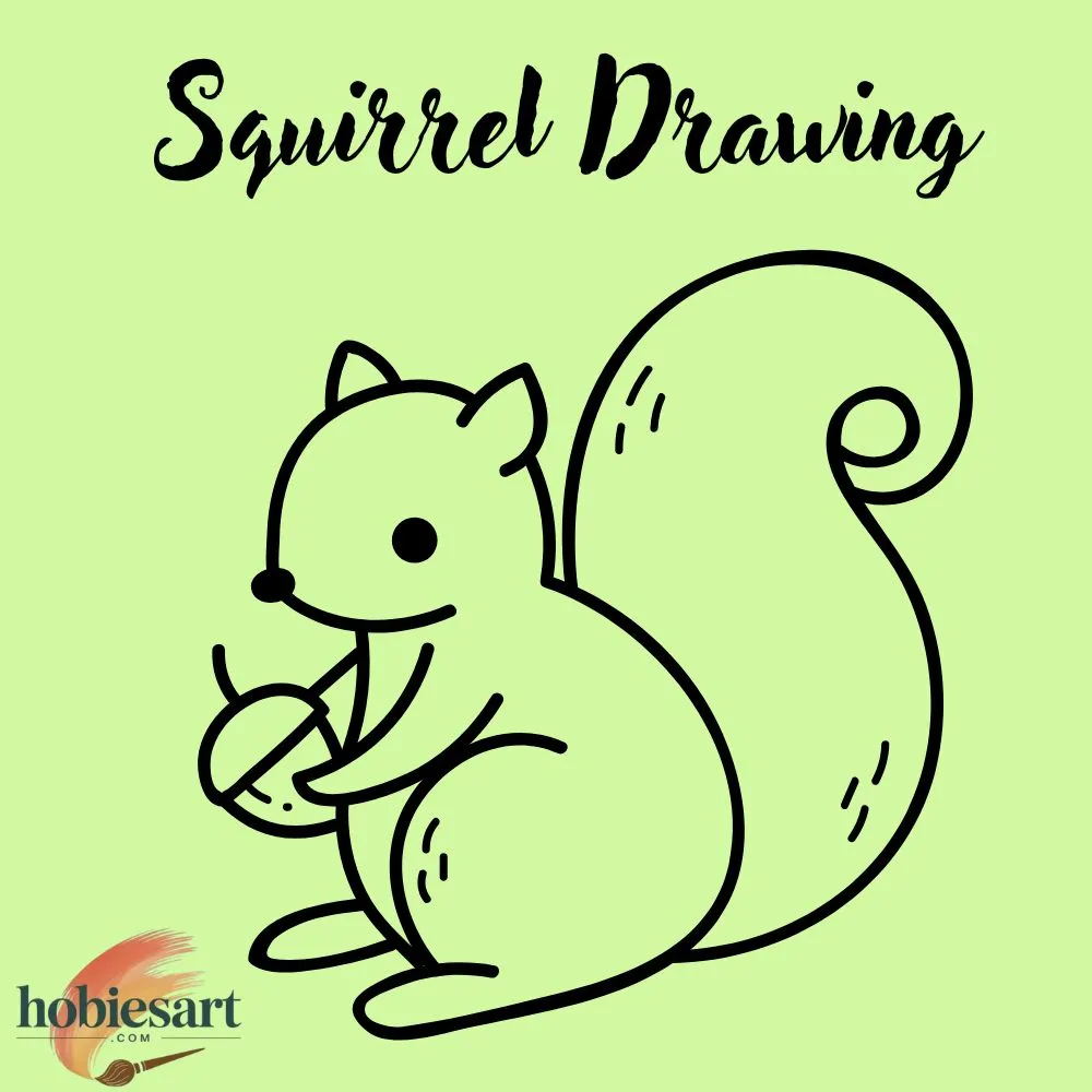 Squirrel Drawing