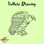 Vulture Drawing