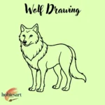 Wolf Drawing