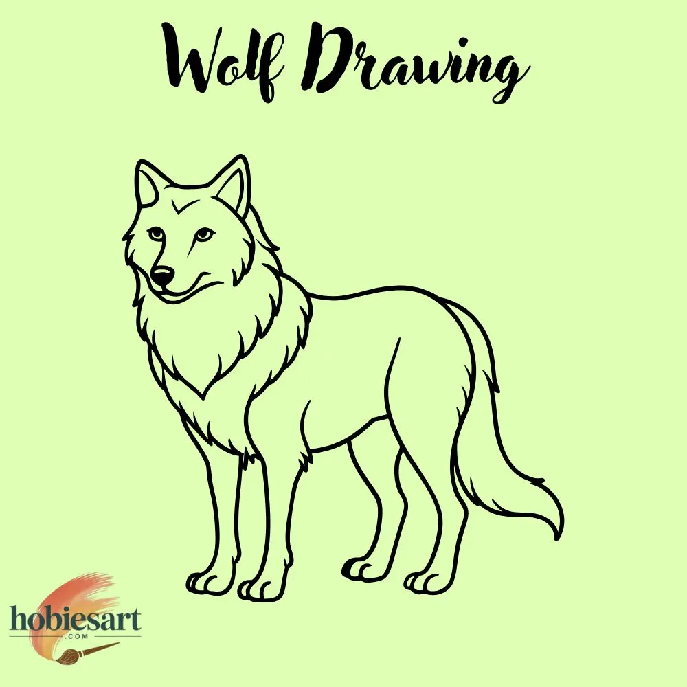 Wolf Drawing