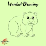 Wombat Drawing