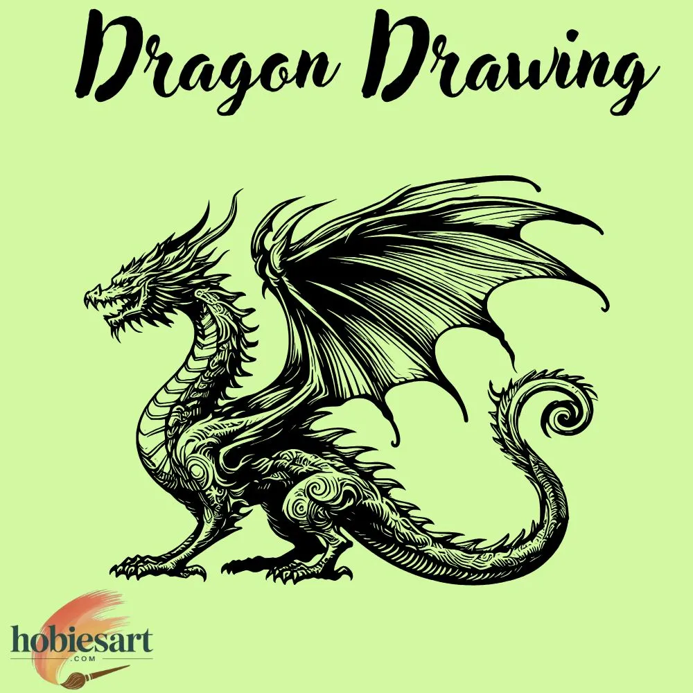 Dragon Drawing Ideas