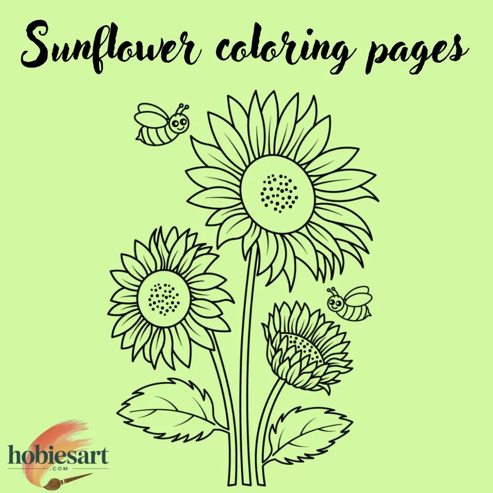 Sunflower coloring pages